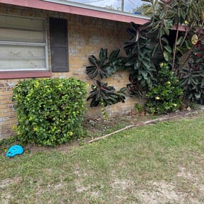 Bush Trimming by Cleancut Landscaping reviewed on August 20, 2025