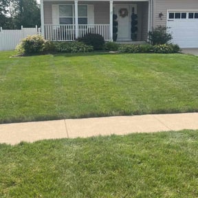 turf maintenance by Taylor’d Lawn Experience reviewed on September 1, 2024