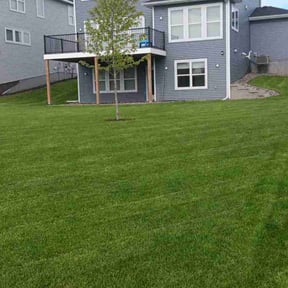 lawn care services by Improved lawns reviewed on August 18, 2025