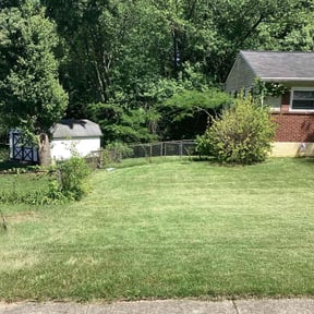 Long Grass Cleanup by Worthy Property Solutions LLC reviewed on December 14, 2021