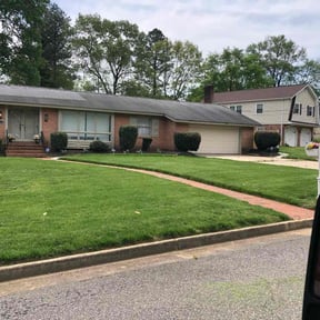 yard care by TarHeel lawn Co reviewed on November 26, 2025