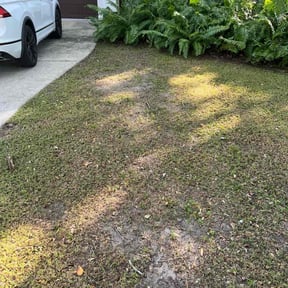 Leaf Removal by Casper lawn servise reviewed on November 8, 2025