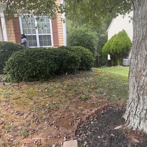 Bush Trimming by Frederickson Lawn Management reviewed on October 23, 2025