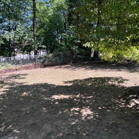 Leaf Removal by Ryry Service Inc reviewed on September 27, 2025