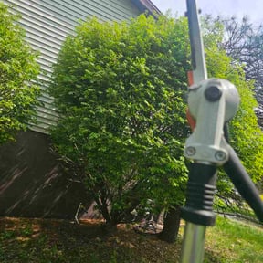 Bush Trimming by Sage landscaping & Irrigation LLC reviewed on August 21, 2025