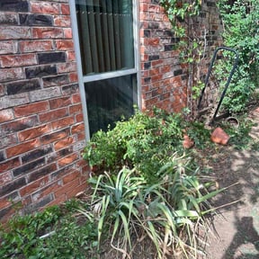 Bush Trimming by Texas Lawn Cuts Landscaping reviewed on August 21, 2025