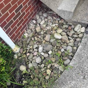Flower Bed Weeding by Red River Outdoor Services reviewed on August 18, 2026
