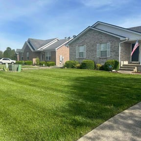 yard maintenance by Lawn Legacy LLC reviewed on August 20, 2025
