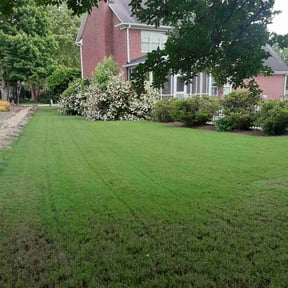 gardening service by Calleigh's Enterprise reviewed on August 21, 2025