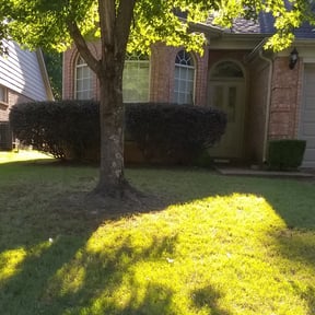 Bush Trimming by JJ Yard Mulching Co. reviewed on August 16, 2025