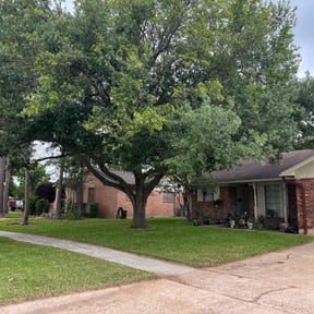 landscape maintenance by Washington Lawn Service reviewed on November 28, 2025