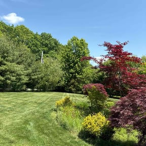 yard care by Stephens Property Care reviewed on November 23, 2025