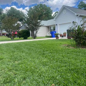 lawn care by Denson's Total Lawn Care reviewed on April 13, 2024