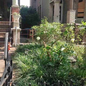Bush Trimming by Parrish Lawn Care reviewed on August 14, 2025