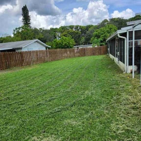 turf care by ClC Lawncare service reviewed on August 17, 2023