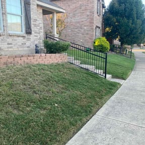 Bush Trimming by A&M reviewed on August 15, 2025