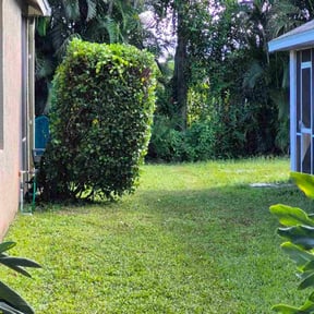 Bush Trimming by Jack Will Do It reviewed on October 21, 2025