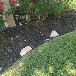 Flower Bed Weeding by Nestel Lawn Care reviewed on August 18, 2025