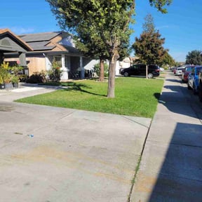 gardening service by START2FINISH 247 reviewed on December 10, 2025