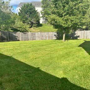 yard work by Mr. Kvr's Lawn Care Services reviewed on August 17, 2025