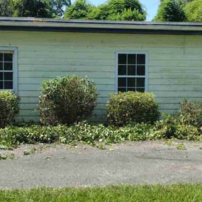 Bush Trimming by Dads Lawn Care LLC reviewed on August 17, 2025