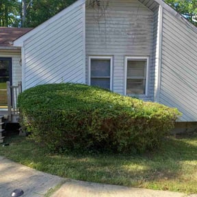 Bush Trimming by Willie Lawn Care and More LLC reviewed on August 13, 2025