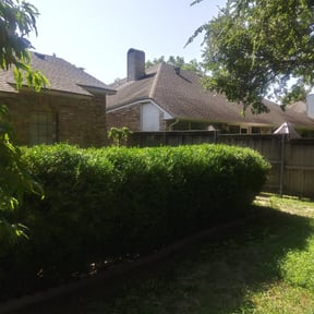 Bush Trimming by Clear Cut Lawn and Landscape reviewed on August 19, 2025