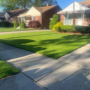 landscaping services by A1 lawn and snow services reviewed on August 20, 2025
