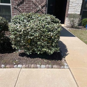 Bush Trimming by Man & Mower reviewed on August 17, 2025