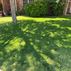 yard service by Pineda landscaping  reviewed on December 9, 2025