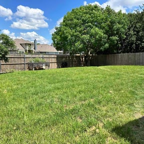 grass cutting by Mojica Lawn Care reviewed on August 21, 2025