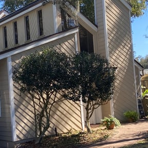 Bush Trimming by A&j lawn care service reviewed on August 20, 2025