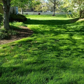 landscape maintenance by Williams Lawn Service reviewed on August 15, 2025