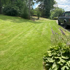 yard service by IPR LLC reviewed on August 16, 2025