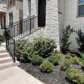 Bush Trimming by C&T Landscaping reviewed on August 15, 2025