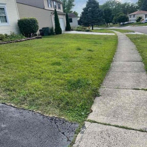 Bush Trimming by S.L.M reviewed on November 9, 2025