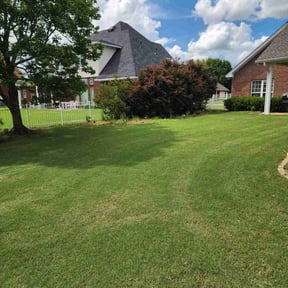 lawn care by Morgan&#039;s Mowing and More reviewed on July 30, 2022