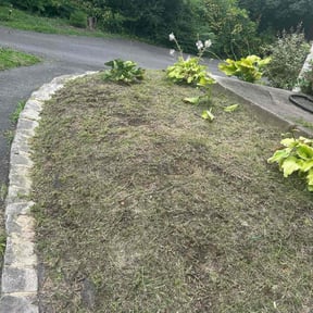 Flower Bed Weeding by Wright Cut reviewed on November 8, 2025