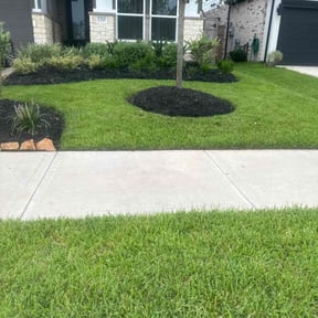 yard maintenance by Big Tex Distributions Llc. reviewed on August 15, 2025