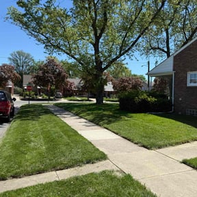 grass cutting by The potters hands reviewed on August 20, 2025