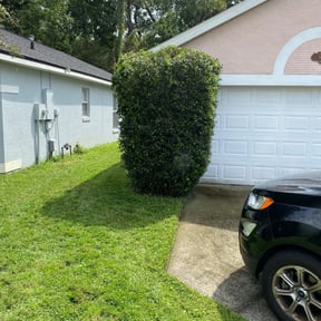 Bush Trimming by Gods Property Lawn & landscaping reviewed on August 16, 2025