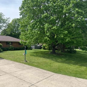 landscaping services by Reids lawn love reviewed on August 16, 2025