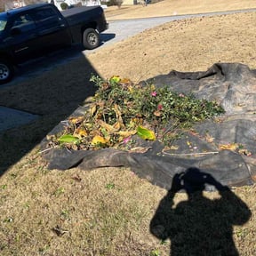 Bush Trimming by Brothers Martinez reviewed on March 10, 2024