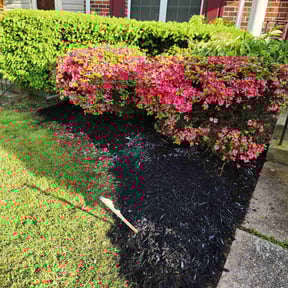 Mulching by Rosa Lawn & Tree reviewed on August 21, 2025