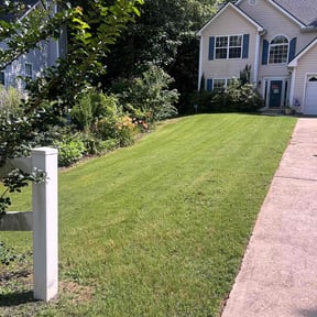 grass cutting by City Living LLC reviewed on August 18, 2025