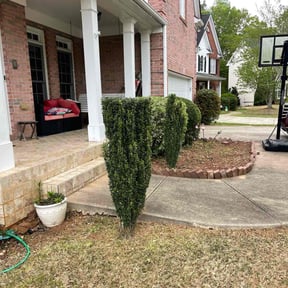 Bush Trimming by Jstotalservices reviewed on November 18, 2025