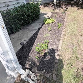Flower Bed Weeding by 281 Handyman &amp; Lawn Care reviewed on September 1, 2026