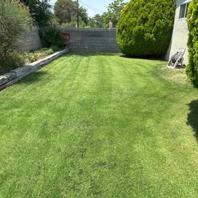 gardening service by 1st Priority Landscape &amp; Tree Service Inc reviewed on November 12, 2020