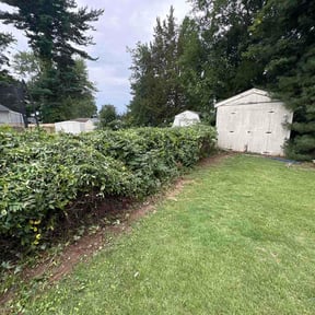 Bush Trimming by Gonzalez Landscaping reviewed on August 17, 2026