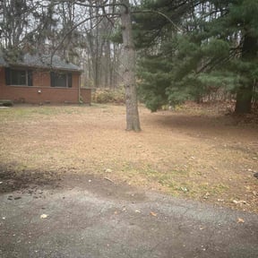 Leaf Removal by 1st Choice Grounds Management reviewed on September 1, 2026